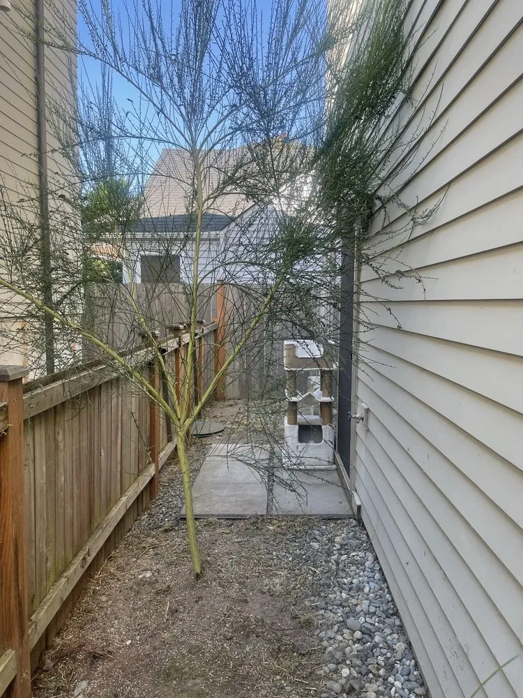 Affordable garden landscaping in Seattle, WA by Ngn Landscape