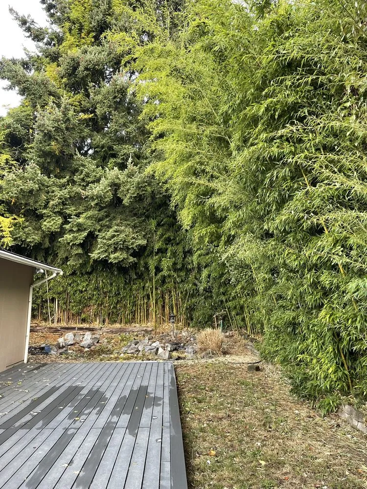 Trusted landscape design in Seattle, WA by Ngn Landscape