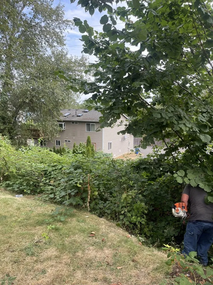 Trusted yard maintenance near you in Seattle, WA by Ngn Landscape