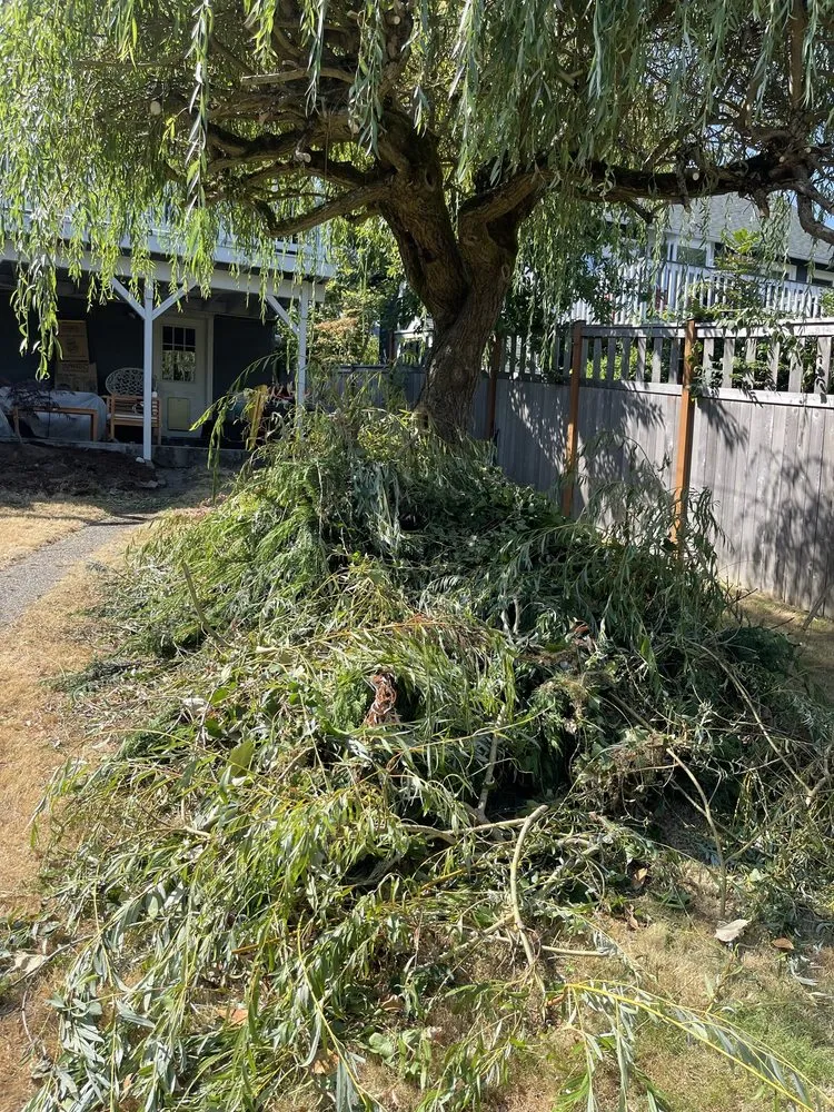 Professional outdoor landscaping in Seattle, WA by Ngn Landscape