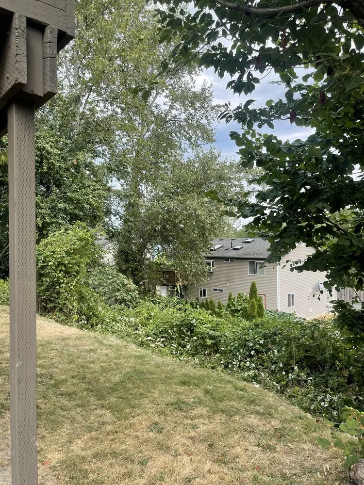 Affordable yard maintenance experts serving Seattle, WA - Ngn Landscape