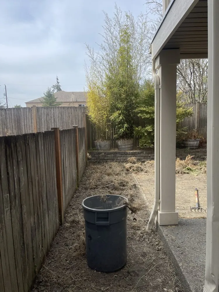 Expert landscaping services in Seattle, WA - Ngn Landscape