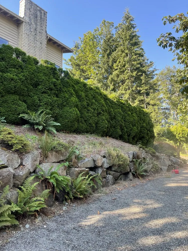 Reliable landscape installation for beautiful yards in Seattle, WA by Ngn Landscape