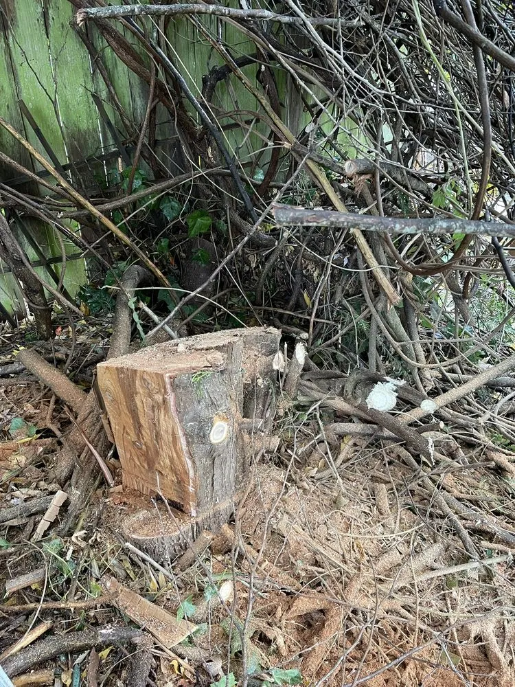 Professional landscape installation for outdoor upgrades across Seattle, WA - Ngn Landscape