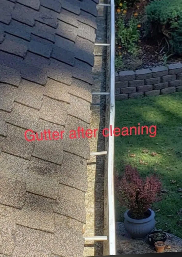 Custom lawn care service for outdoor upgrades across Auburn, WA - NGOS Painting Pressure Washing & Landscaping Services