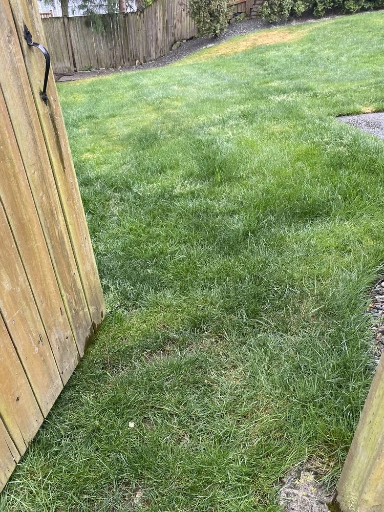 Expert residential landscaping for outdoor upgrades in Auburn, WA by NGOS Painting Pressure Washing & Landscaping Services