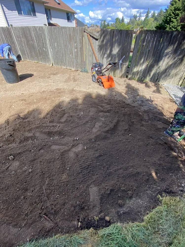 Trusted landscaping services experts serving Auburn, WA - NGOS Painting Pressure Washing & Landscaping Services