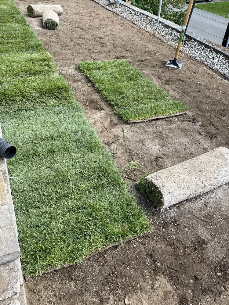 Local landscaping services near you across Auburn, WA - NGOS Painting Pressure Washing & Landscaping Services