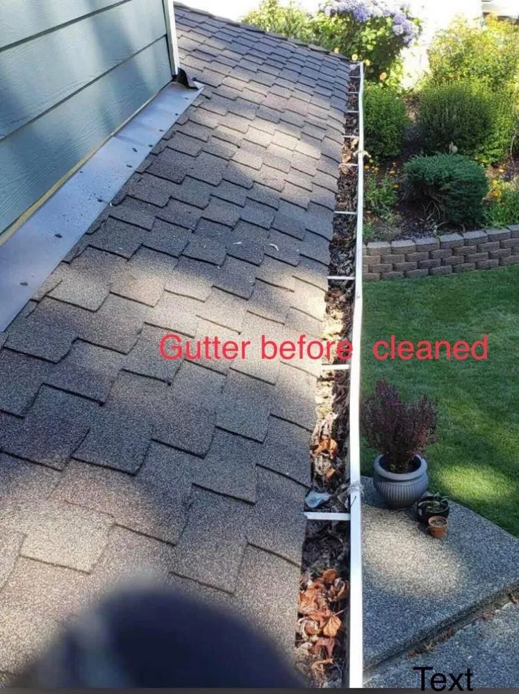 Reliable landscape design with custom design across Auburn, WA - NGOS Painting Pressure Washing & Landscaping Services