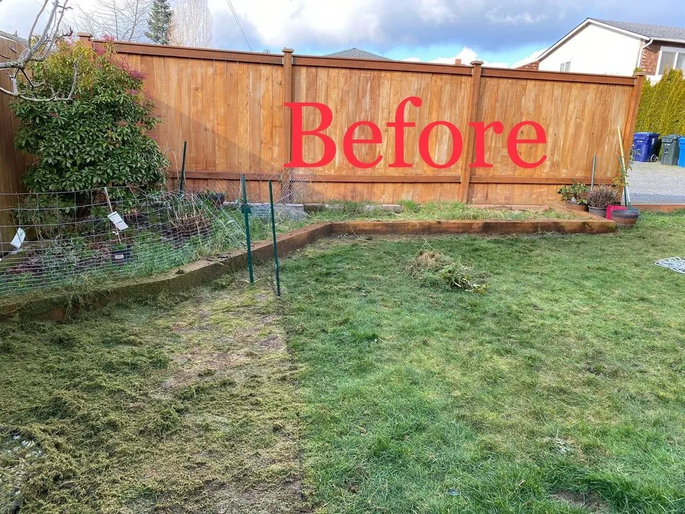 Local landscape installation in Auburn, WA by NGOS Painting Pressure Washing & Landscaping Services