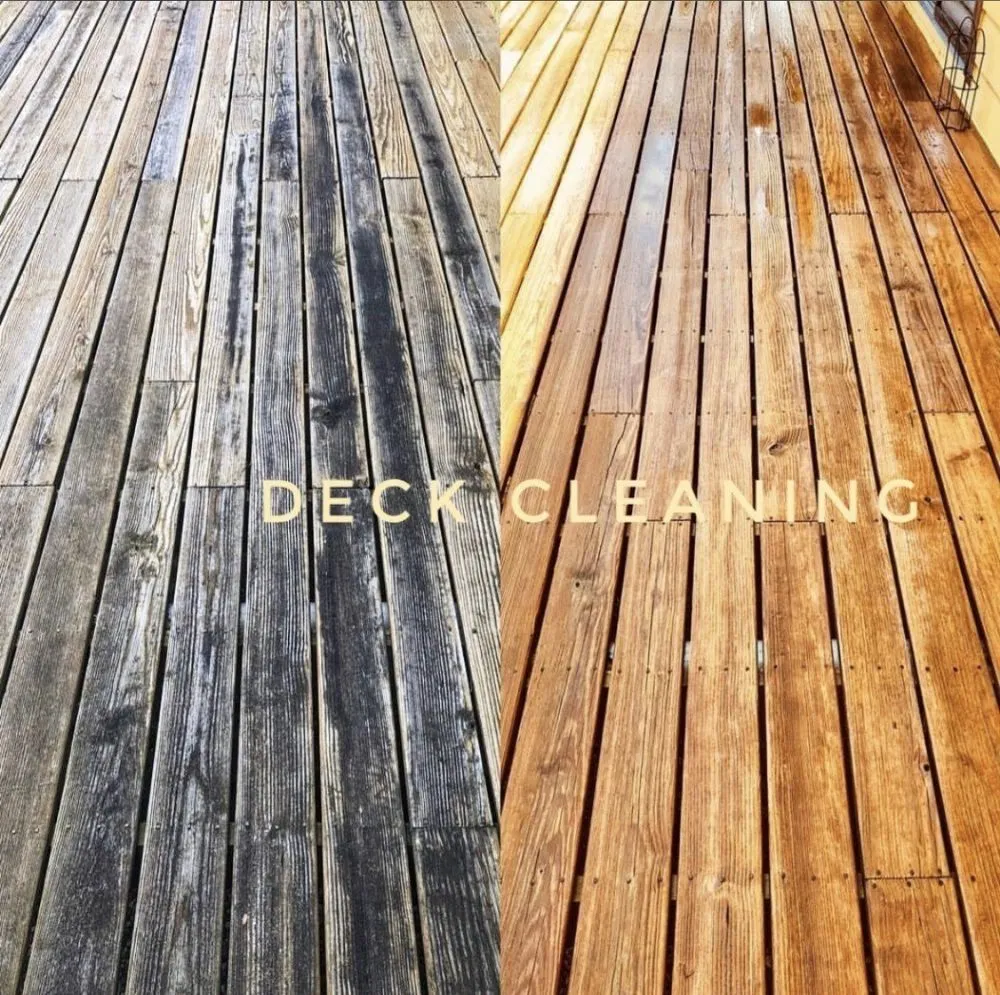 Professional landscape design in Auburn, WA by NGOS Painting Pressure Washing & Landscaping Services