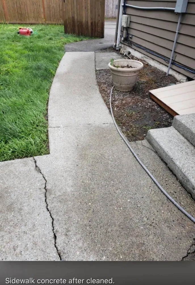 Expert landscape design for beautiful yards across Auburn, WA - NGOS Painting Pressure Washing & Landscaping Services