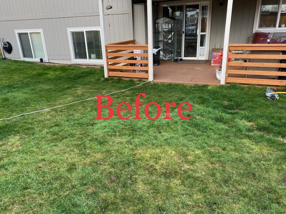 Reliable yard maintenance in Auburn, WA - NGOS Painting Pressure Washing & Landscaping Services