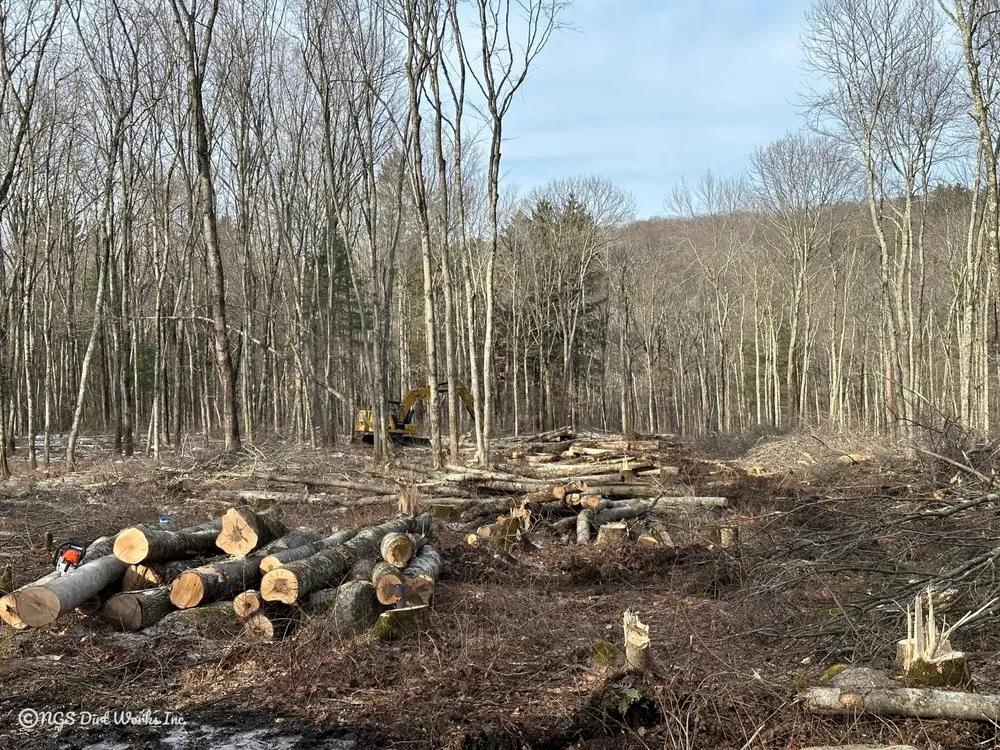Professional yard cleanup service in Hampden, MA by NGS Dirt Works