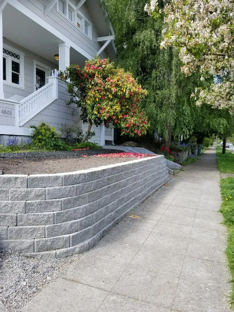 Professional yard maintenance in Renton, WA by Nguyen Landscaping and Construction