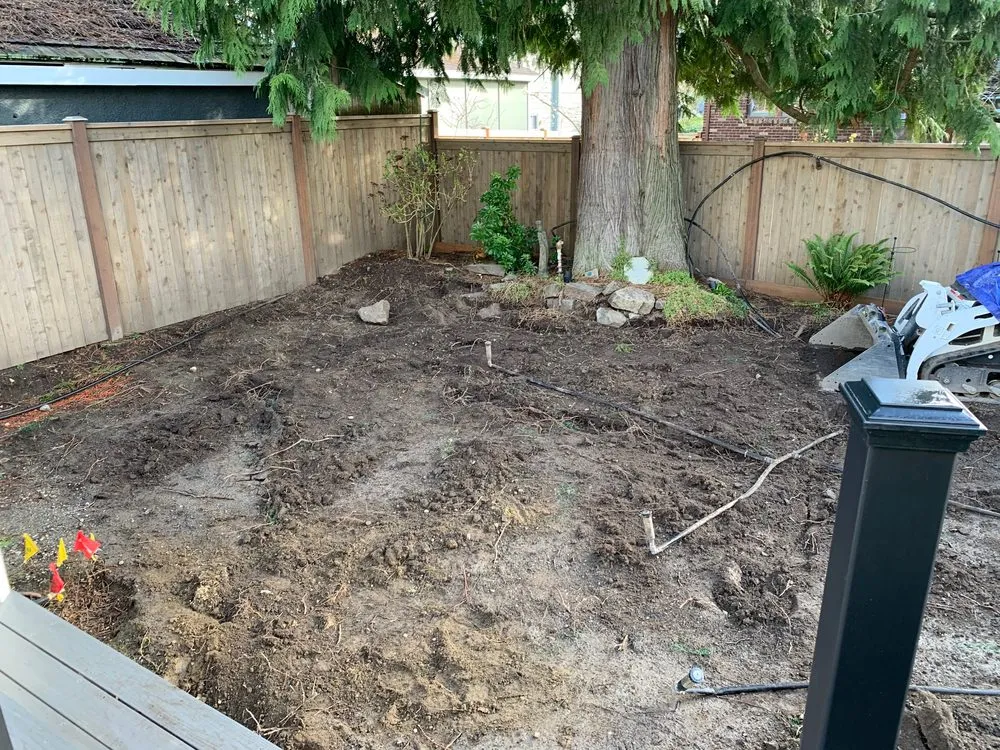 Affordable lawn care service experts serving Renton, WA - Nguyen Landscaping and Construction