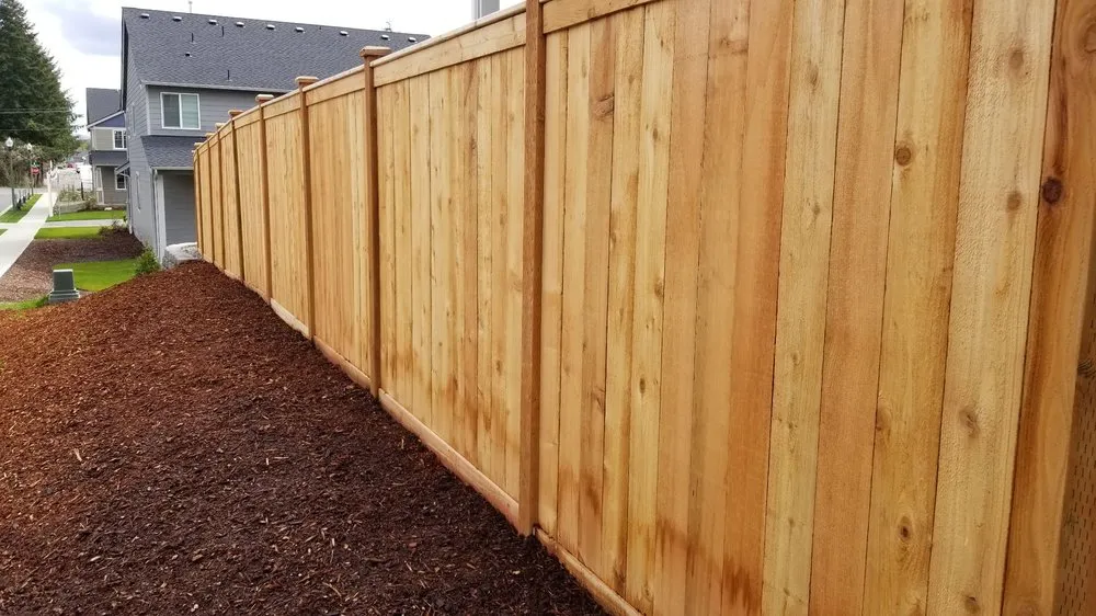 Trusted yard cleanup service in Renton, WA by Nguyen Landscaping and Construction