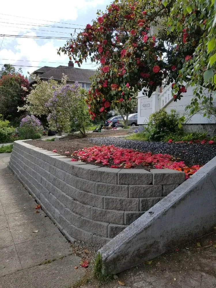 Professional yard cleanup service in Renton, WA - Nguyen Landscaping and Construction