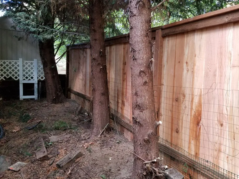 Professional landscape design experts serving Renton, WA - Nguyen Landscaping and Construction