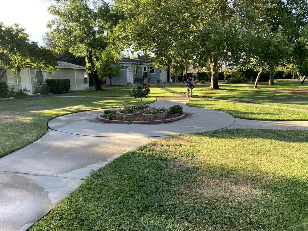 Reliable yard cleanup service experts serving Sacramento, CA - Nguyen Landscaping
