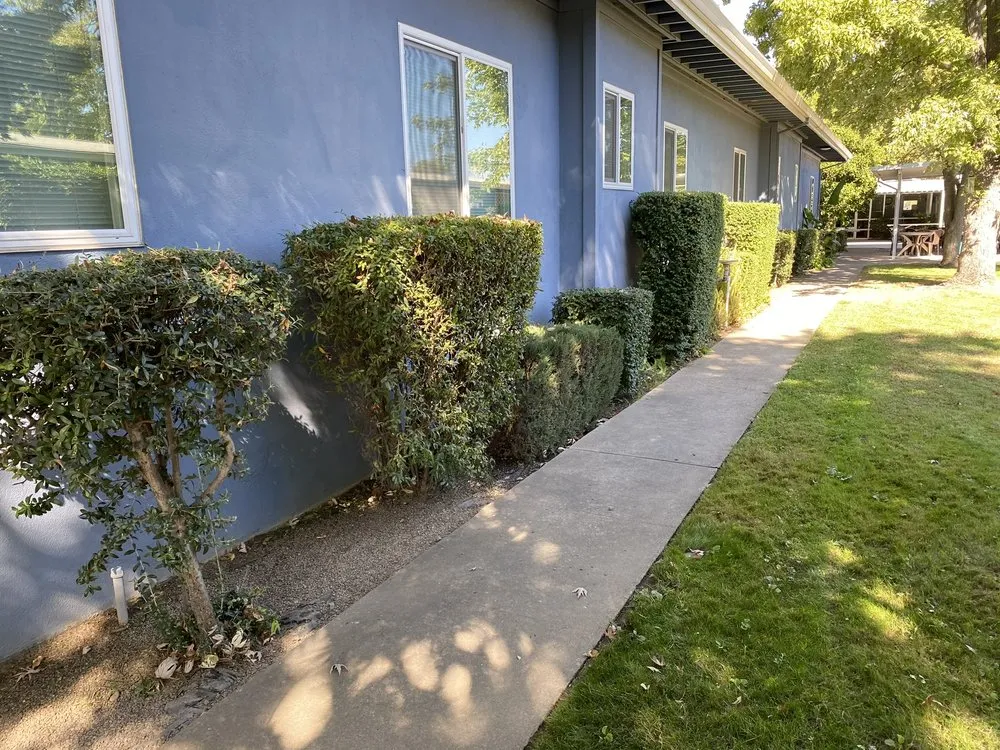 Trusted lawn care service experts serving Sacramento, CA - Nguyen Landscaping