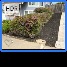 Reliable outdoor landscaping experts serving San Bruno, CA - Nguyen's-Giup Gardening Services
