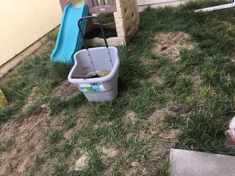 Professional landscape design for homes in San Bruno, CA by Nguyen's-Giup Gardening Services