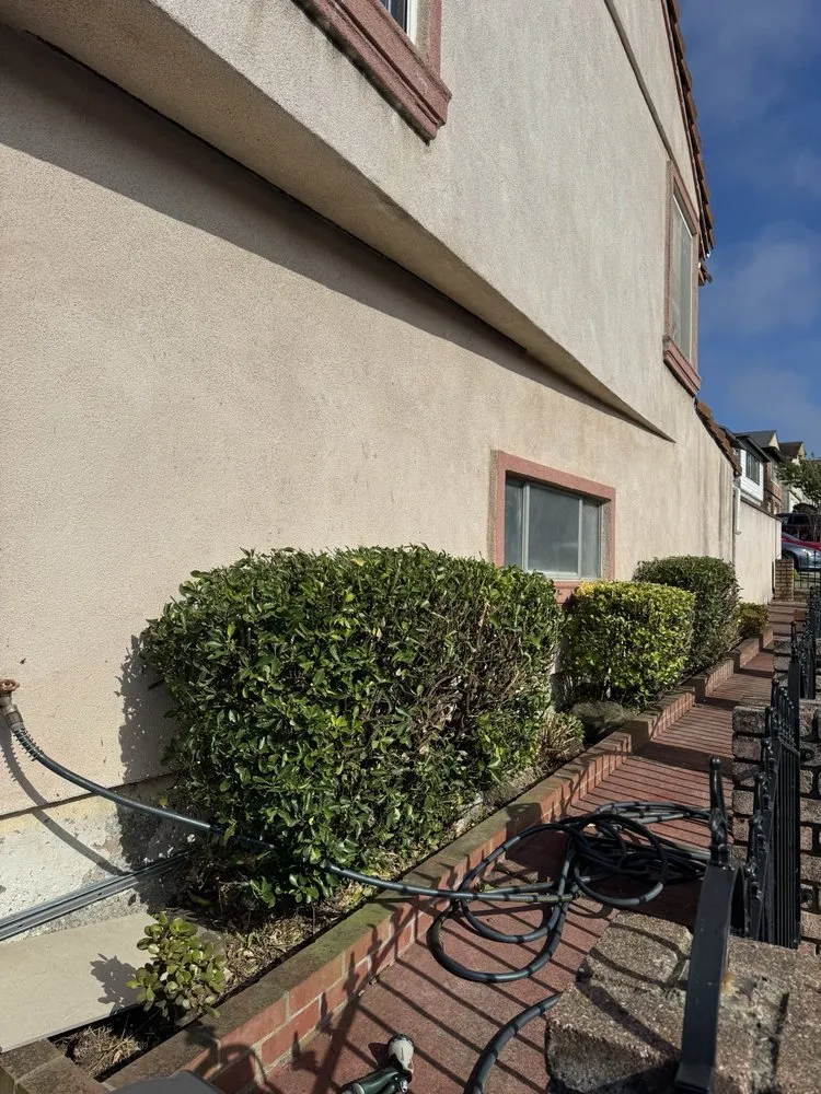 Local landscape design in San Bruno, CA by Nguyen's-Giup Gardening Services