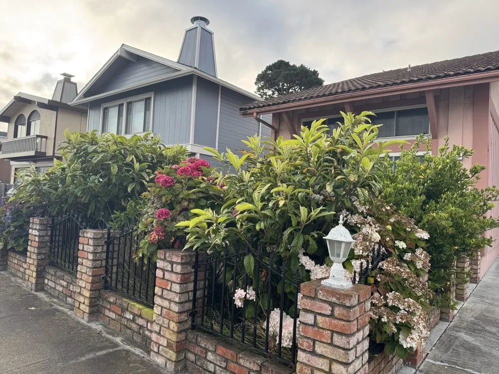 Top-rated lawn care service in San Bruno, CA by Nguyen's-Giup Gardening Services