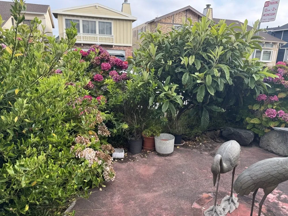 Local lawn mowing service in San Bruno, CA - Nguyen's-Giup Gardening Services