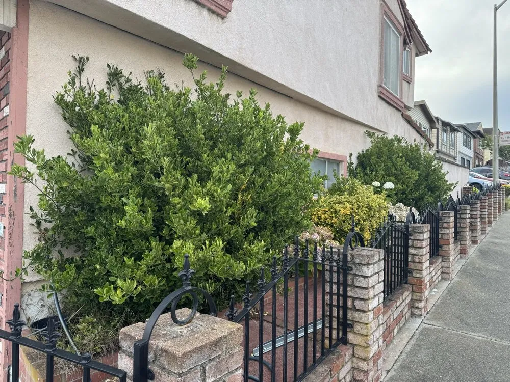 Custom landscape design for residential properties in San Bruno, CA by Nguyen's-Giup Gardening Services