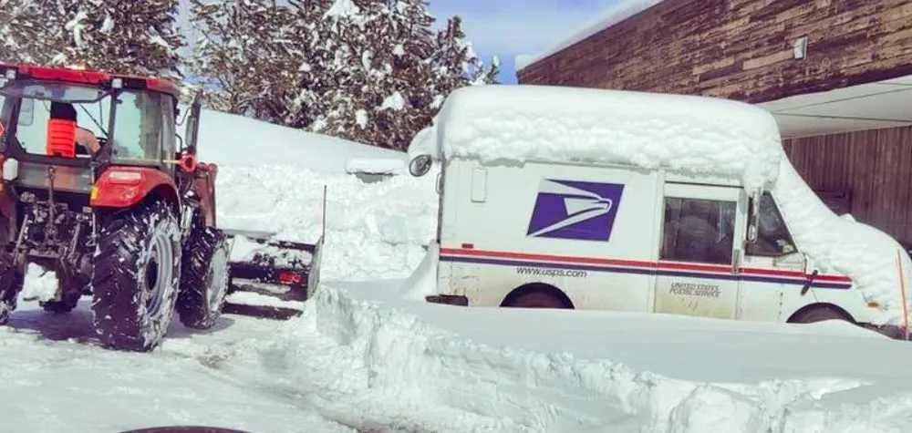 Trusted yard maintenance for beautiful yards across Fort Lupton, CO - NH Bighorn Contracting