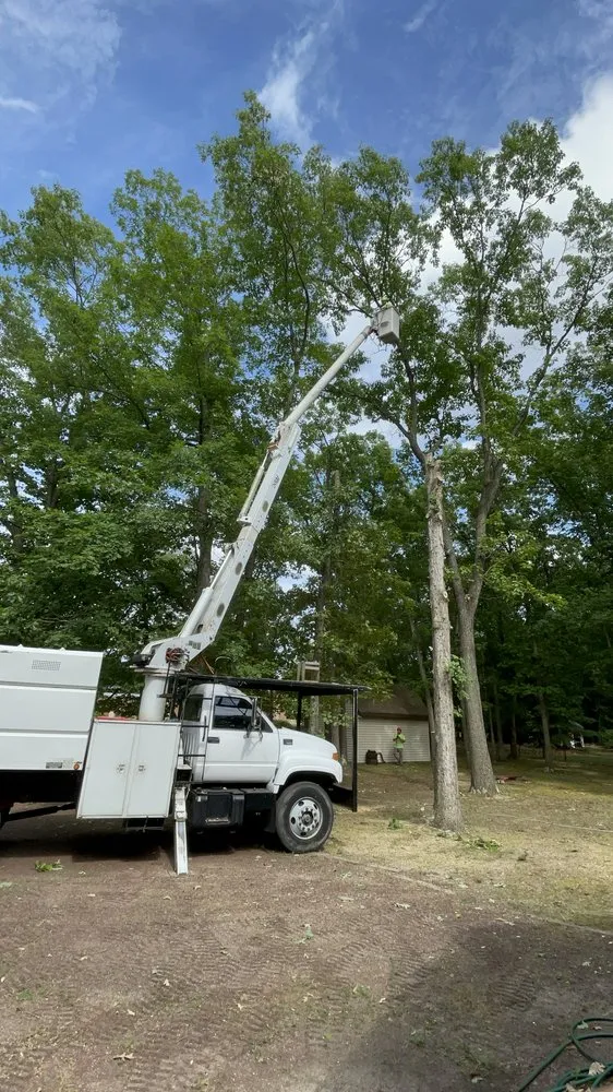 Reliable landscape design in Hammonton, NJ by N&H Tree Service and Landscaping