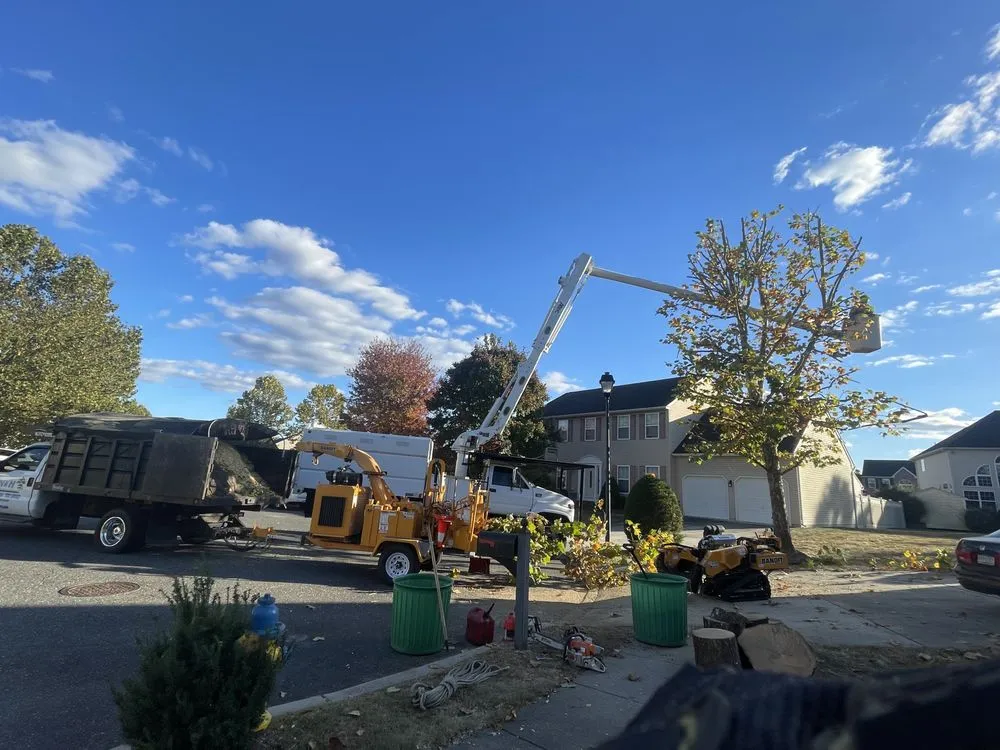 Local yard cleanup service for homes in Hammonton, NJ by N&H Tree Service and Landscaping