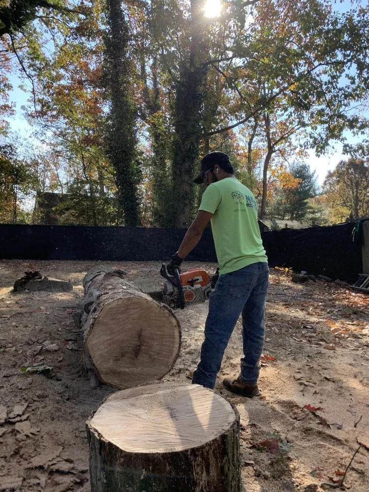 Custom lawn mowing service near you in Hammonton, NJ by N&H Tree Service and Landscaping