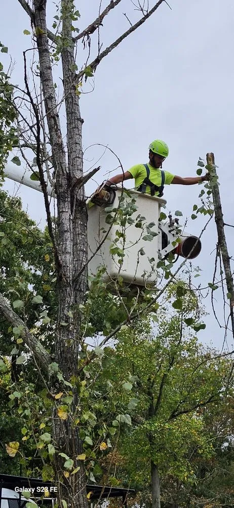 Expert lawn care service for homes in Hammonton, NJ by N&H Tree Service and Landscaping