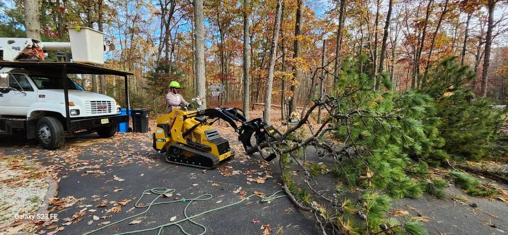 Reliable lawn care service in Hammonton, NJ by N&H Tree Service and Landscaping