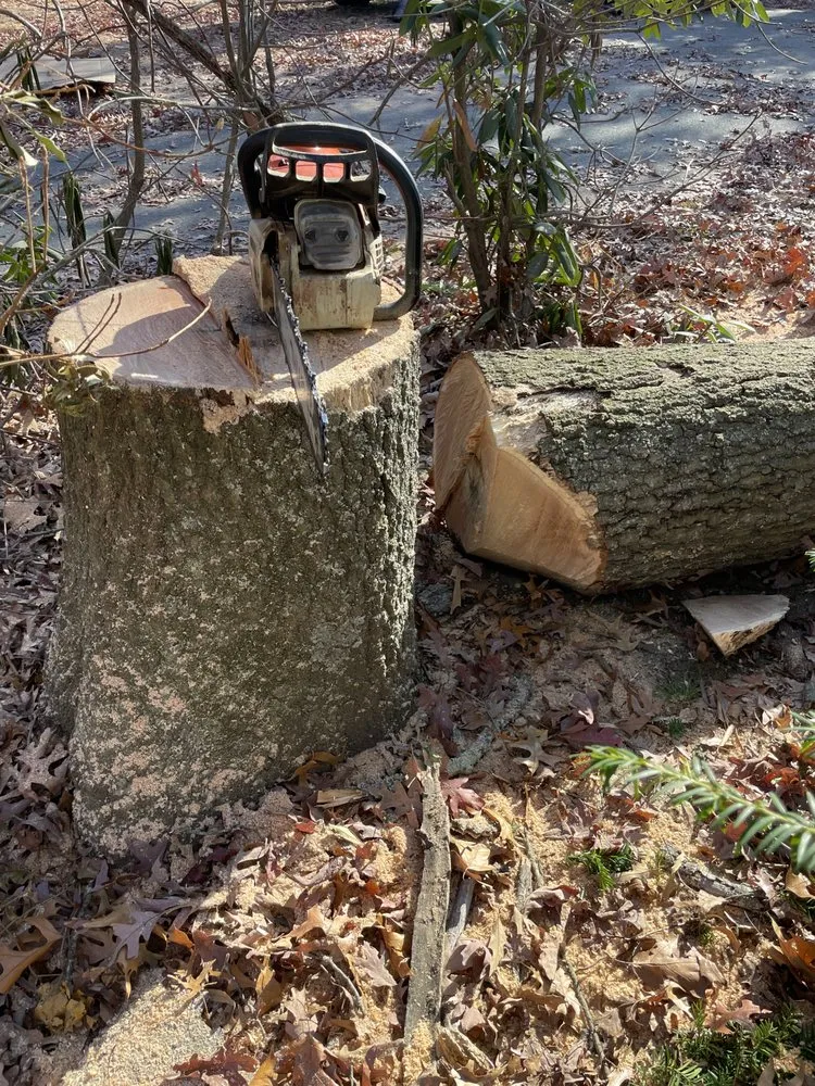 Custom outdoor landscaping for outdoor upgrades across Hammonton, NJ - N&H Tree Service and Landscaping