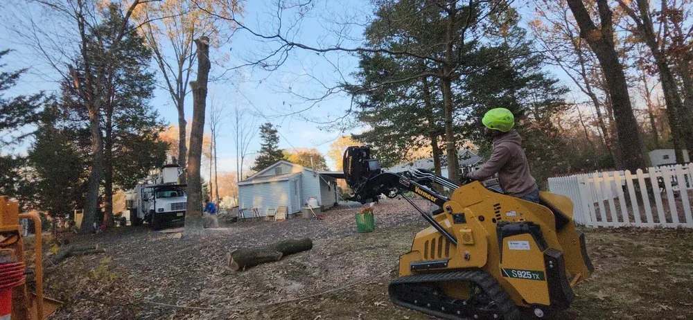 Professional landscape design in Hammonton, NJ by N&H Tree Service and Landscaping