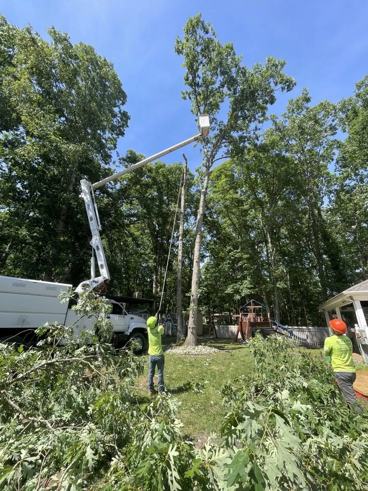 Affordable landscaping services in Hammonton, NJ - N&H Tree Service and Landscaping