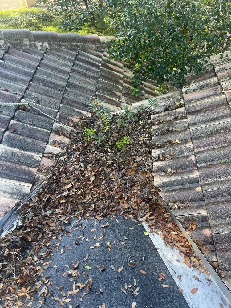 Trusted garden landscaping for homes in Casselberry, FL by Niassky Landscaping