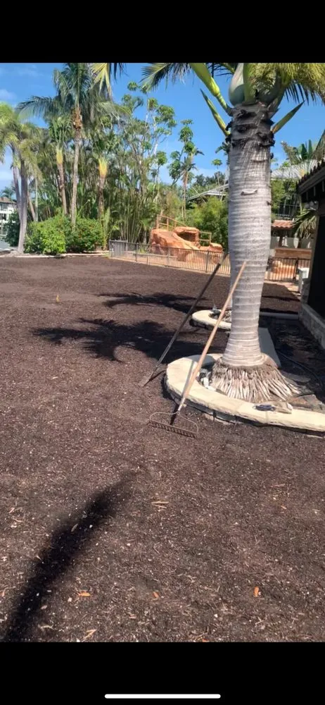 Trusted lawn mowing service for year-round maintenance across Casselberry, FL - Niassky Landscaping