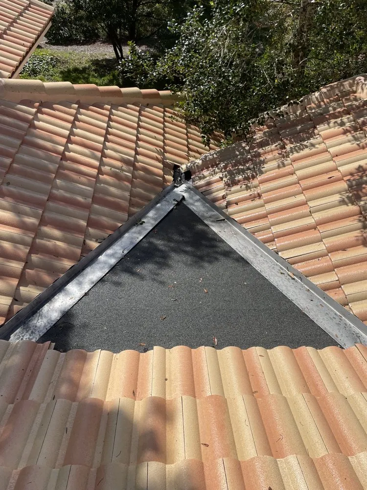 Reliable landscaping services near you across Casselberry, FL - Niassky Landscaping