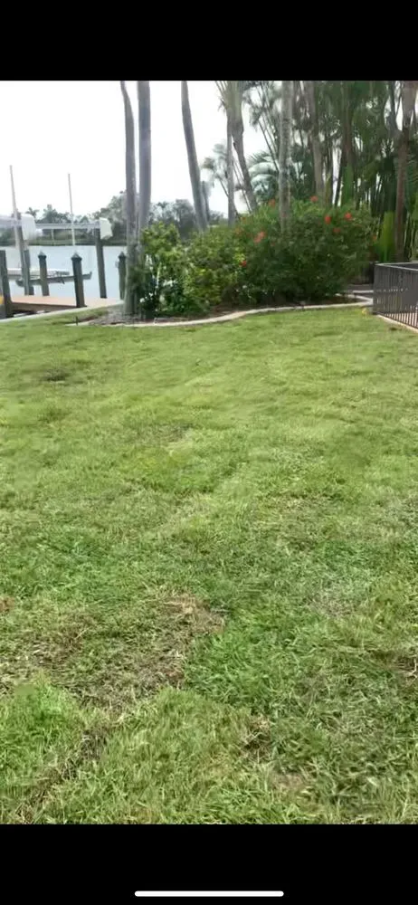 Custom yard maintenance in Casselberry, FL by Niassky Landscaping