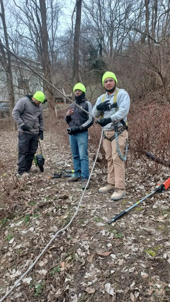 Professional yard maintenance with custom design in Cincinnati, OH by Nicas Tree Service