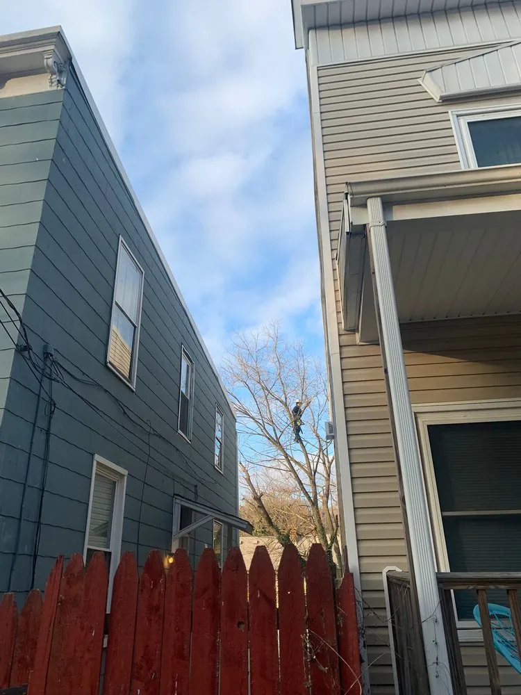 Affordable landscape installation near you across Cincinnati, OH - Nicas Tree Service