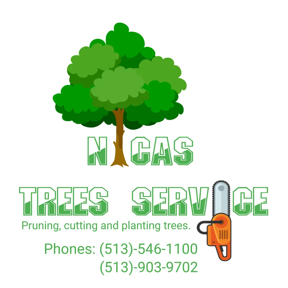 Top-rated landscape design in Cincinnati, OH by Nicas Tree Service