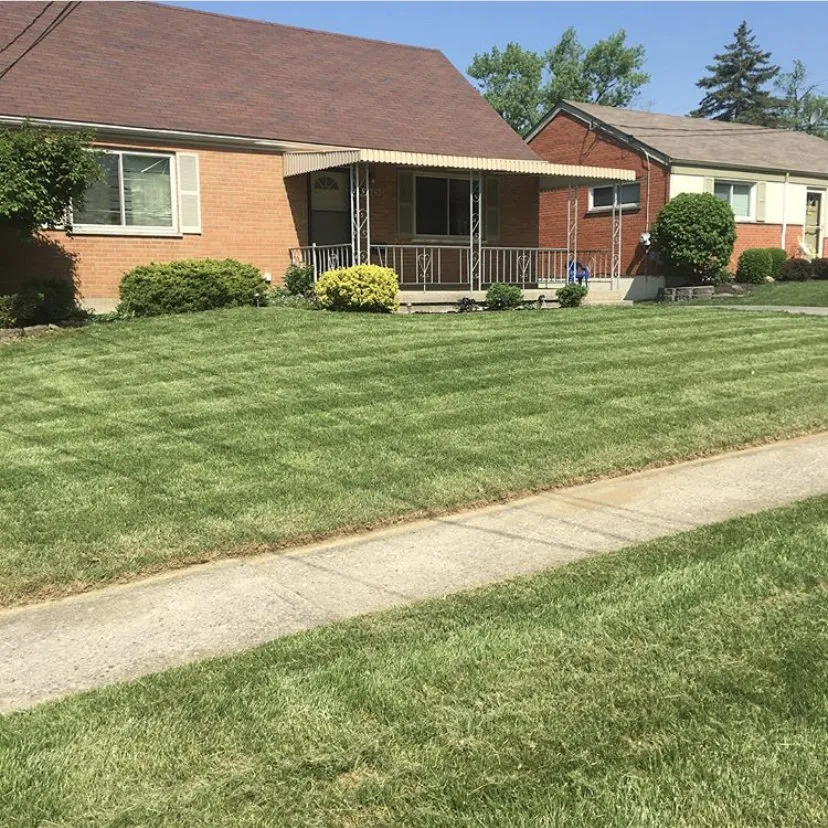 Top-rated lawn mowing service for residential properties across Cincinnati, OH - Nicas Tree Service
