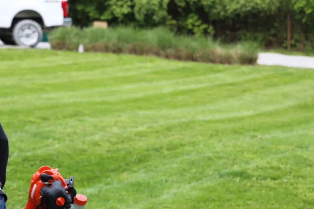 Expert yard cleanup service for beautiful yards in Cincinnati, OH by Nicas Tree Service