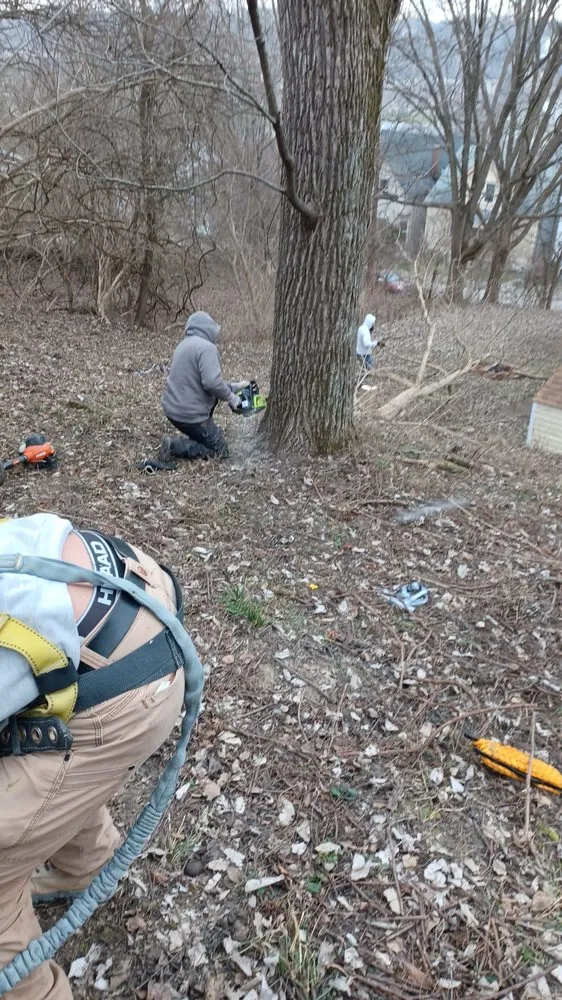 Custom yard maintenance for outdoor upgrades across Cincinnati, OH - Nicas Tree Service